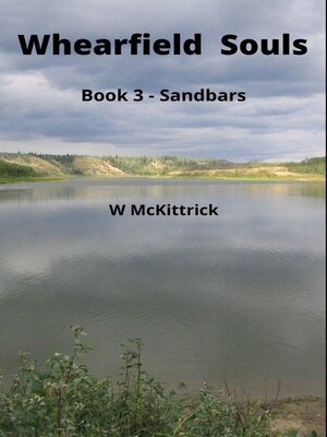 cover image of Sandbars